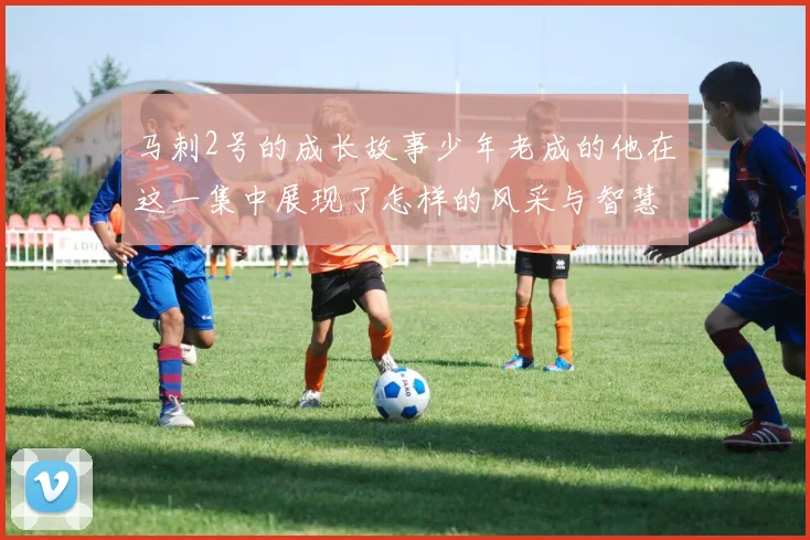 马刺2号的成长故事少年老成的他在这一集中展现了怎样的风采与智慧